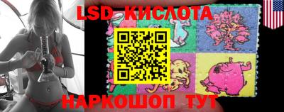 spice Моздок