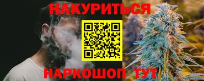 spice Моздок