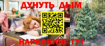 spice Моздок